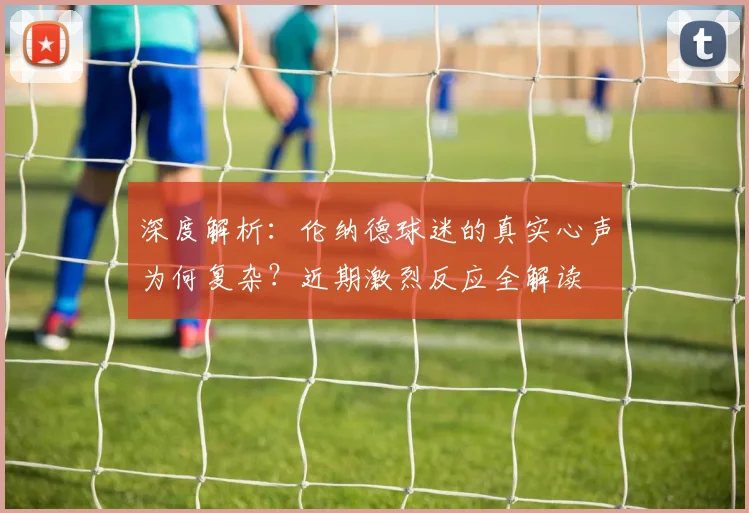 深度解析:伦纳德球迷的真实心声为何复杂?近期激烈反应全解读